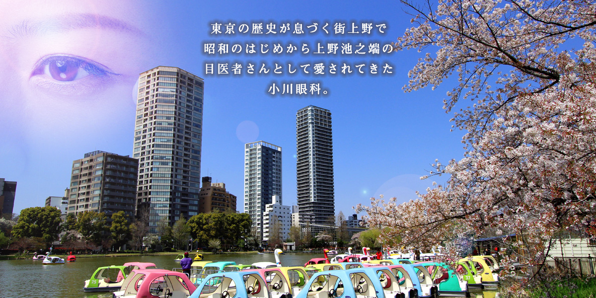 東京の歴史が息づく街上野で昭和のはじめから上野池之端の目医者さんとして愛されてきた小川眼科。